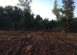 Около 20 га музея-заповедника «Костёнки» сровняли экскаватором