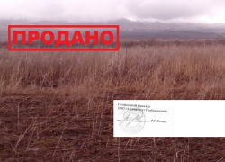 Грибановский район потерял животноводческий комплекс, 2100 га земли и 57 млн. рублей одним росчерком пера