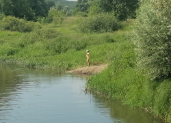 Июльская жара в Воронежской области превысит норму по прогнозам метеорологов