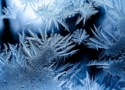 Штормовое предупреждение из-за морозов объявлено в Воронежской области