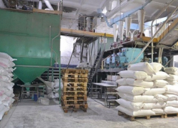 Новый управляющий «Борисоглебского хлебопродукта» проиграл суд экс владельцу предприятия