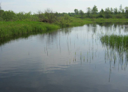 В Грибановском районе утонул 16 –летний подросток