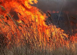 Жителей Воронежской области предупредили о росте риска ландшафтных пожаров