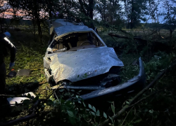 В Борисоглебске виновника ДТП, в котором погиб подросток, приговорили к семи годам колонии