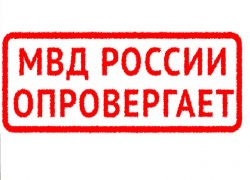 Полиция опровергла фейковые предупреждения о рейдах в Воронежской области