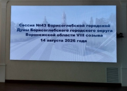 Елена Агаева досрочно сложила полномочия Главы Борисоглебского округа и председателя Думы