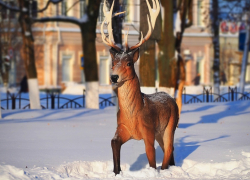 Станислав Гладыш сфотографировал залитый солнцем заснеженный Борисоглебск 