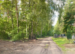 Генеральную уборку провели на кладбищах в Борисоглебске