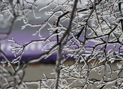 Борисоглебские автолюбители, внимание!