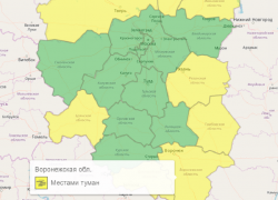 Желтый уровень опасности снова объявили в Воронежской области из-за тумана