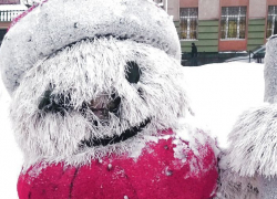 Пушистому снеговику в центральном сквере Борисоглебска оторвали нос