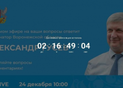 Губернатор принимает вопросы: из Борисоглебска и Новохоперска уже поступают