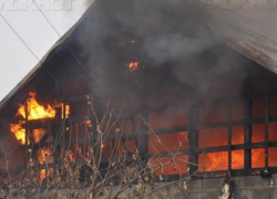 Чрезвычайная пожароопасность объявлена в четырех районах Воронежской области