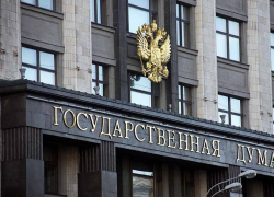 Парламентское большинство в Госдуме пресекло попытку облегчить жизнь молодым матерям