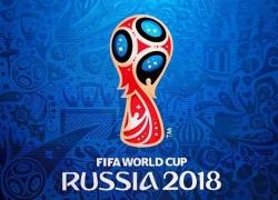 В Воронежской области заработает горячая линия для болельщиков Чемпионата мира по футболу