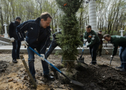 Губернатор Гордеев примерил куртку бойца студотряда и посадил дерево