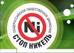 Кандидаты в Общественную палату Борисоглебска от движения «Стоп, никель» не прошли голосование в городской Думе