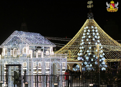 Новогодняя площадь в столице Воронежской области побила рекорды посещаемости