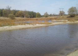 В Хопёрском заповеднике из-за засушливого лета обмелело озеро Ульяновское 