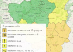 Град, грозы и аномальная жара: погода сходит с ума в Воронежской области