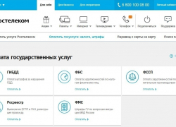 Воронежцы смогут оплатить госуслуги на сайте RT.RU