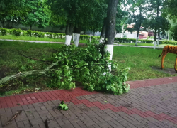 Последствия непогоды в Борисоглебске: в детской зоне Театрального сквера рухнула большая ветка