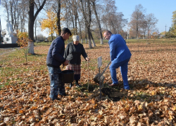 В Грибановке аллея в честь почетных граждан района стала больше