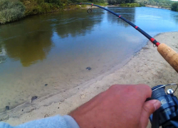 На Хопре щука утащила рыбака в воду