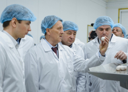 Антимонопольщики проверят птицефабрику «Третьяковская» под Борисоглебском в связи с ростом цен на яйца