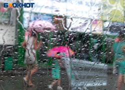 Жара начнет отступление из Воронежской области под грозовые раскаты в начале рабочей недели