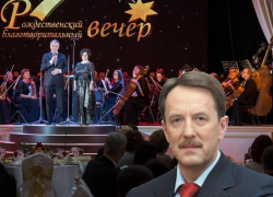 Рождественский аукцион губернатора Гусева обнищал без Гордеева