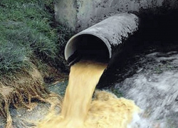 Житель Воронежской области просит неравнодушных граждан спасти Дон от загрязнения