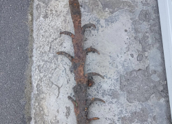В районе Борисоглебска парка нашли кованый объект из позапрошлого века