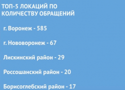 Борисоглебск  попал в ТОП-локаций по количеству обращений граждан