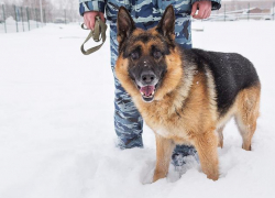 В Юго-восточном микрорайоне Борисоглебска обнаружен труп молодого мужчины