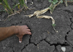 Погодные рекорды в Воронежской области стали дурной традицией