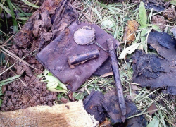 При раскопках Лужского рубежа поисковики установили имя погибшего борисоглебца