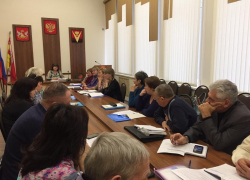 В Борисоглебском городском округе избрали Совет ТОС