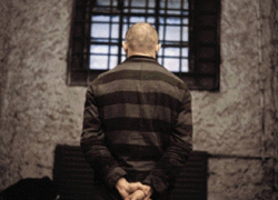 Большинство жителей Воронежской области выступают за смертную казнь