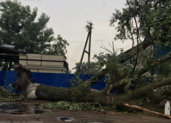 Разрушительные последствия урагана в Воронежской области показали на фото