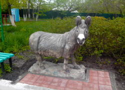 В Борисоглебске установили «памятник» ослице Зосе