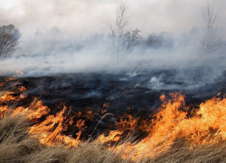 В Воронежской области всего за сутки произошло 45 ландшафтных пожаров