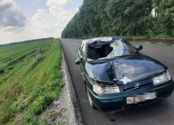 В Терновском районе насмерть сбили пешехода