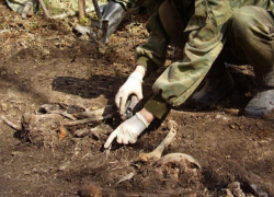 В Калужской области идентифицировали останки терновца, павшего в бою 76 лет назад 