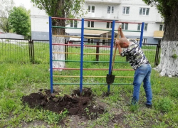 В Борисоглебске приступили к реализации проекта «Фундамент здоровья с детства» 