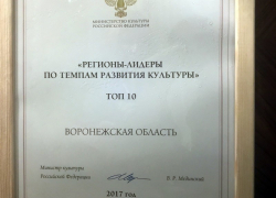 Воронежская область вошла в топ-10 регионов по темпам развития культуры