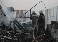 За первые 10 дней марта спасатели сохранили жизнь 12 людям в Воронежской области