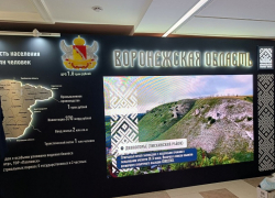 В Совете Федерации стартовали дни Воронежской области