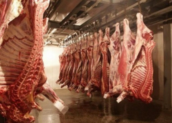 Воронежская область заняла 4 место по производству мяса