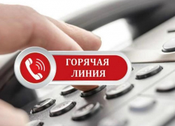 В Воронежской области запустили горячую линию по защите прав работников предпенсионного возраста